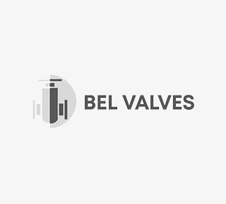 Our clients: Bel Valves | NTR Ltd